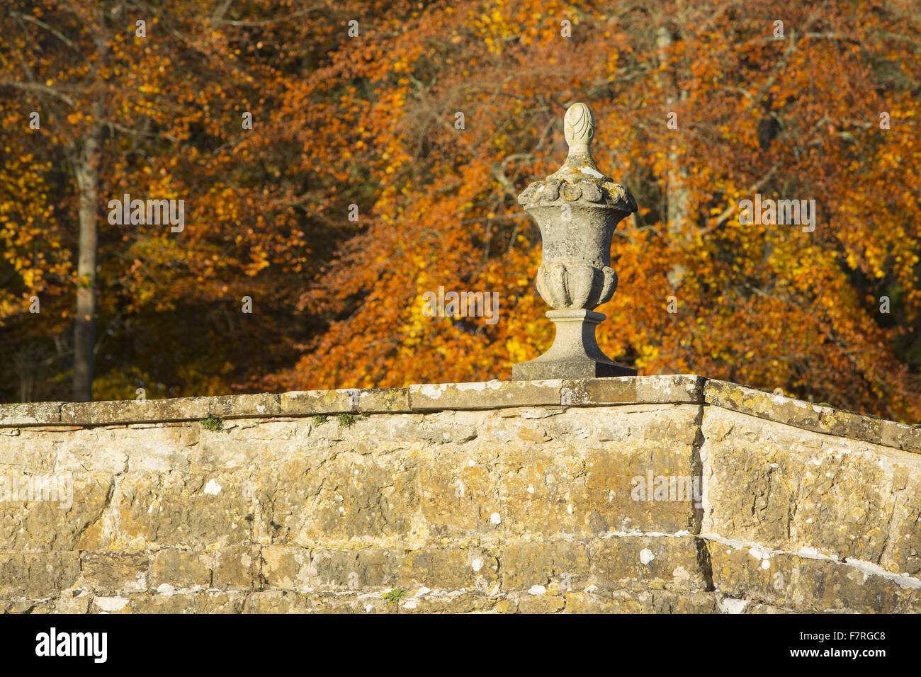 Le pont d'Oxford à l'automne à Stowe, Buckinghamshire. Stowe est un jardin paysager avec une vue magnifique, des sentiers sinueux, des promenades au bord du lac et temples classiques. Banque D'Images