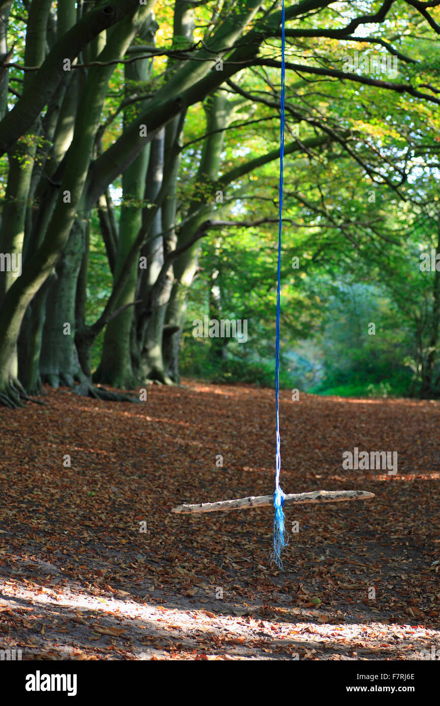 Une corde swing dans les bois. Banque D'Images