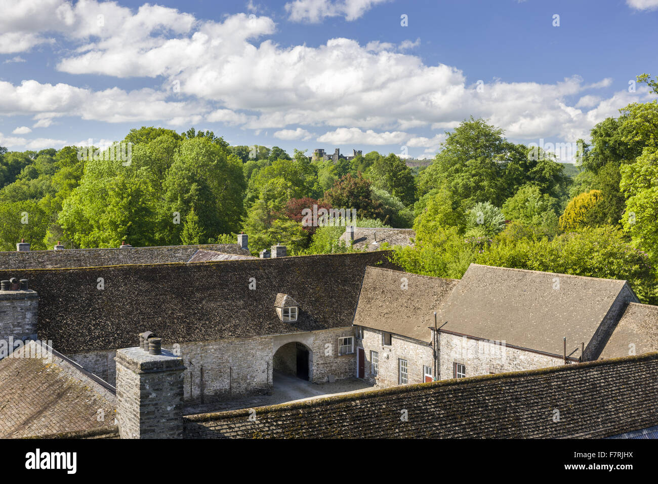 Vue depuis le toit du Newton House au sud ouest à Dinefwr, Carmarthenshire, Pays de Galles. Dinefwr est une réserve naturelle nationale, maison historique et du xviiie siècle, le parc paysager entourant une cité médiévale deer park. Banque D'Images