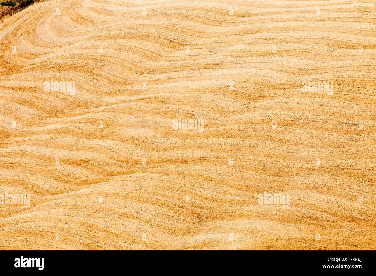 Italie, Toscane, le Crete, Crete Senesi - Collines et Dunes Banque D'Images