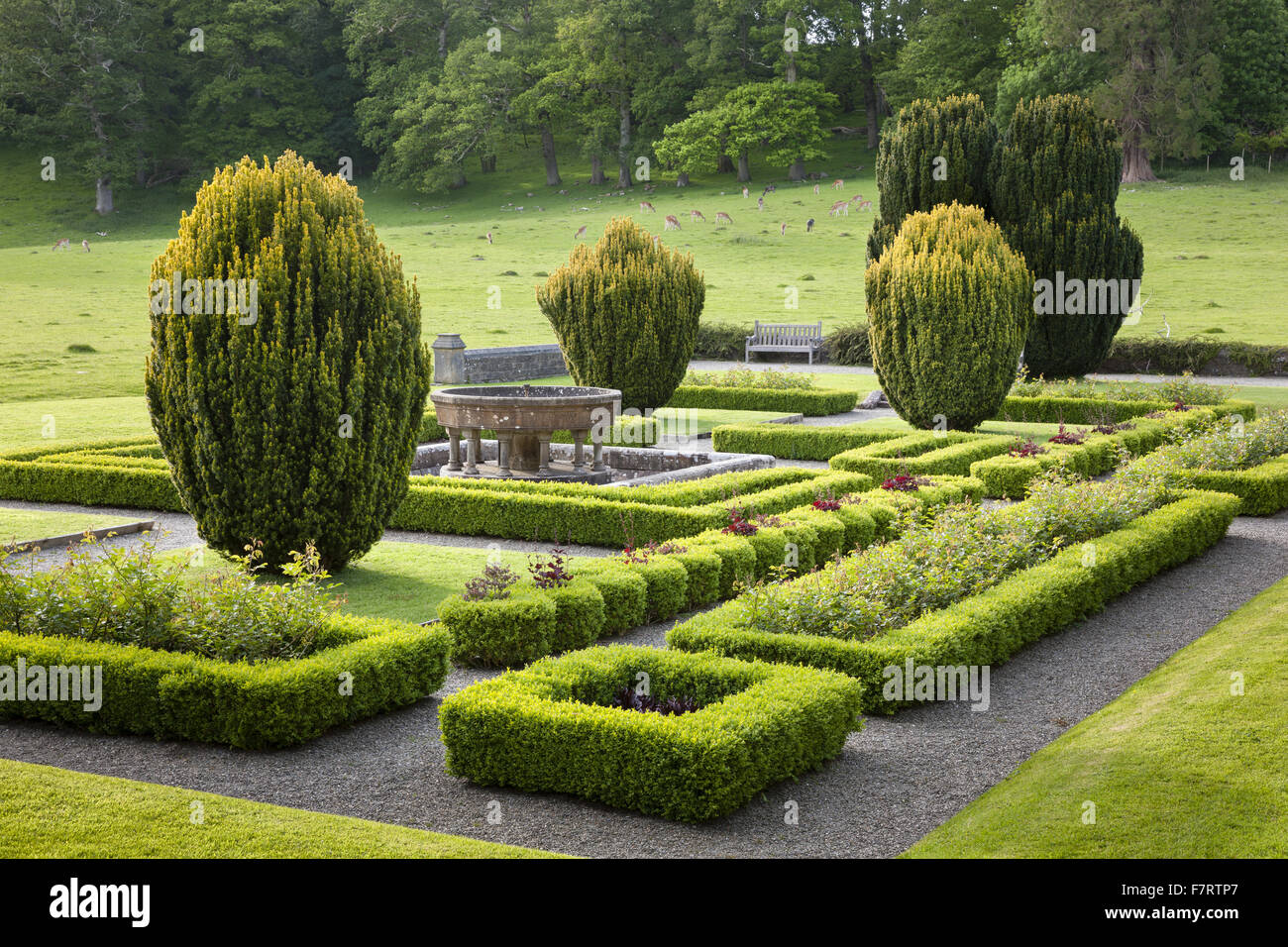 Le jardin à Dinefwr, Carmarthenshire, Pays de Galles. Dinefwr est une réserve naturelle nationale, maison historique et du xviiie siècle, le parc paysager entourant une cité médiévale deer park. Banque D'Images