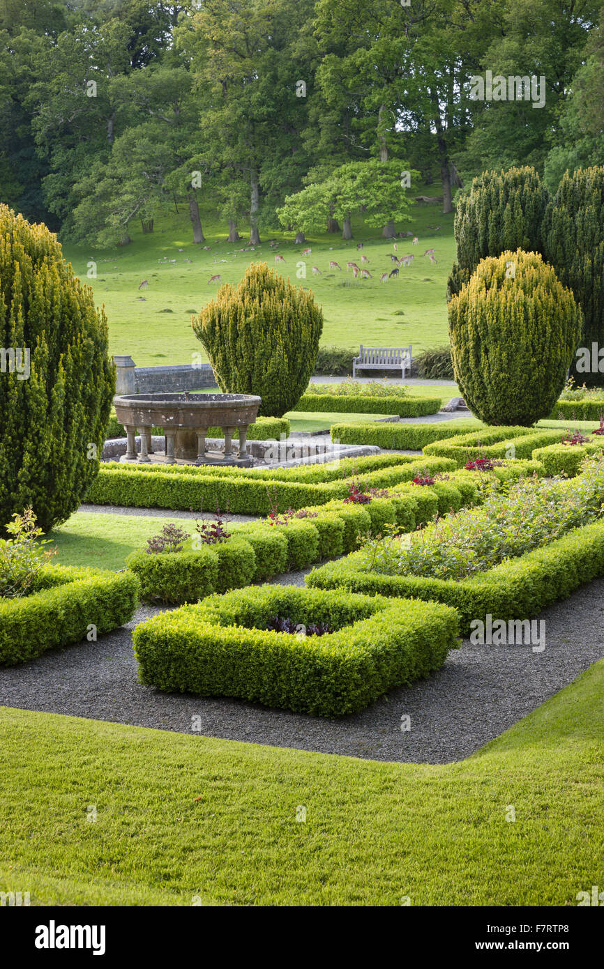 Le jardin à Dinefwr, Carmarthenshire, Pays de Galles. Dinefwr est une réserve naturelle nationale, maison historique et du xviiie siècle, le parc paysager entourant une cité médiévale deer park. Banque D'Images
