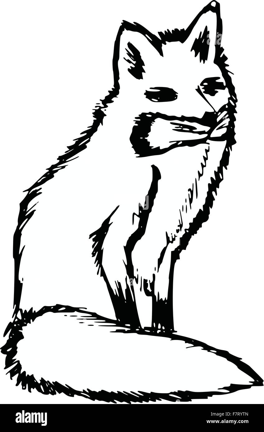 renard roux Illustration de Vecteur