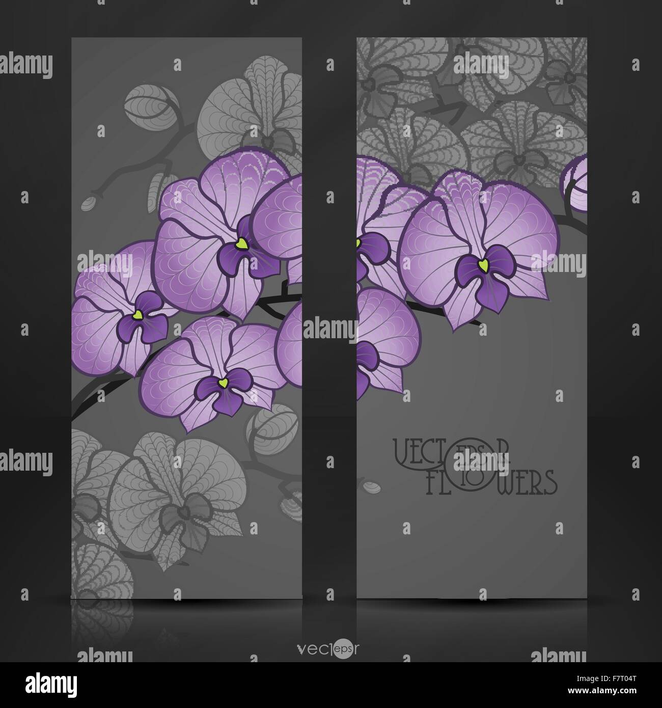 Dessin à la main orchidée, fleur. Illustration de Vecteur