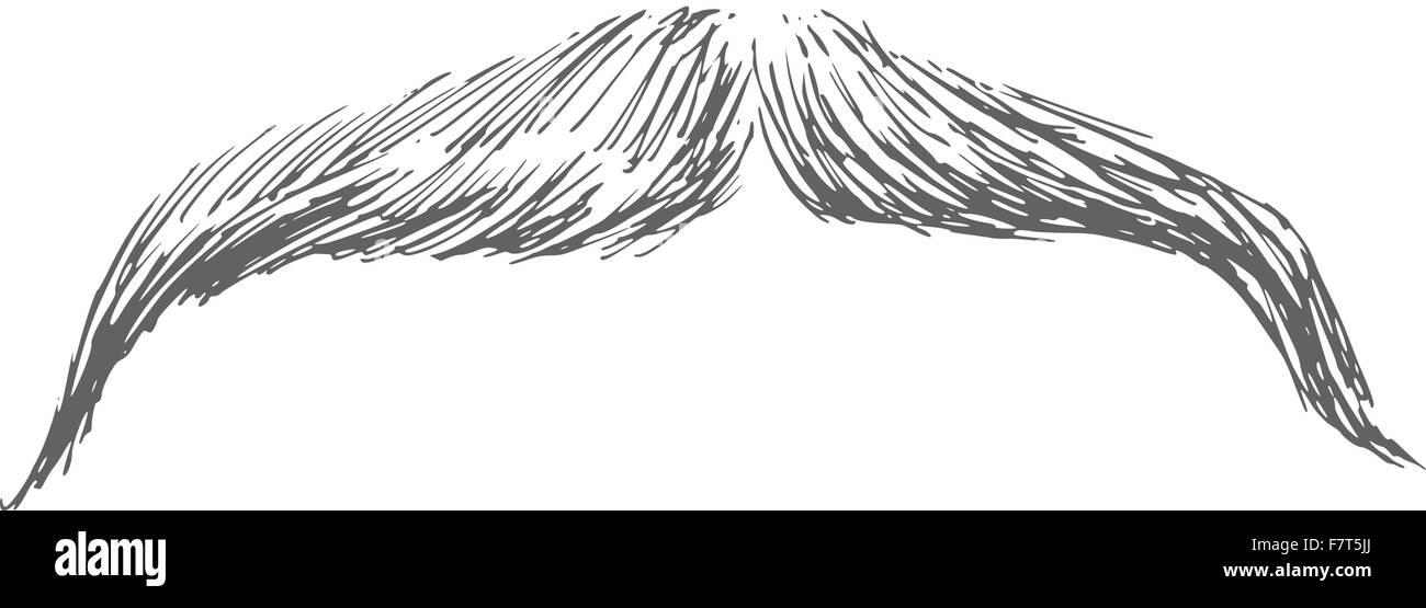 moustache Illustration de Vecteur