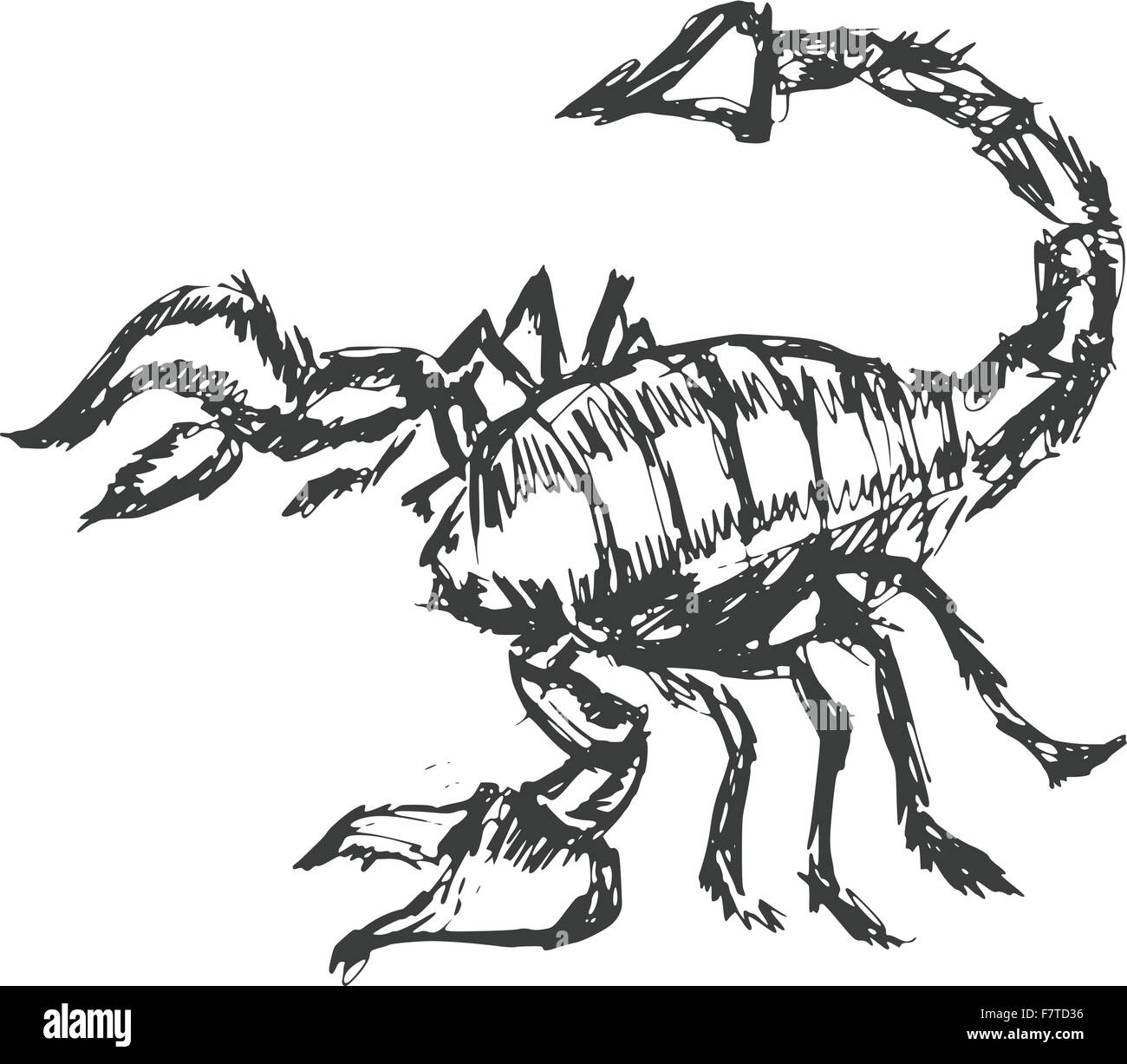 Scorpion Illustration de Vecteur