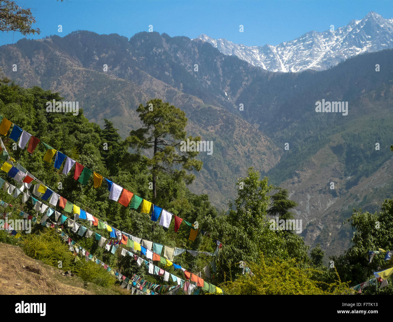 Les drapeaux de prières au stupa à Dharamsala en Inde Banque D'Images Les drapeaux de prières au stupa à Dharamsala en Inde Banque D'Images