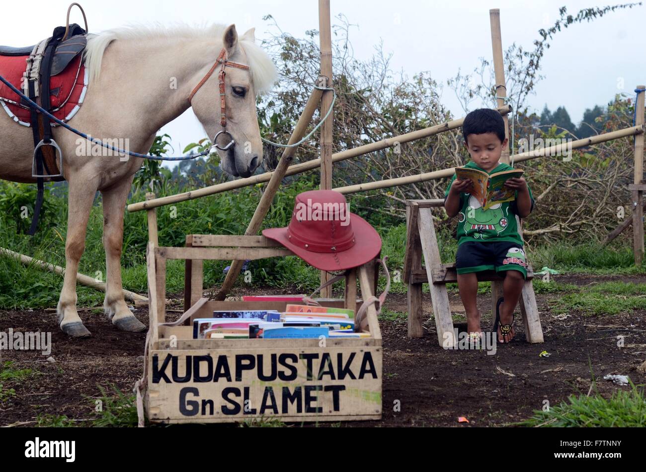 Purbalingga, Indonésie. 2 Décembre, 2015. Un garçon lit un livre emprunté à la bibliothèque mobile Ridwan Sururi Serang, Purbalingga au village, l'Indonésie, le 2 décembre 2015. Ridwan Sururi et son cheval, Luna, faire leur chemin à travers l'Indonésie rurale hebdomadaire, donner aux enfants la possibilité de lire gratuitement et d'aider à améliorer l'accessibilité des livres. © Himawan Nugraha/Xinhua/Alamy Live News Banque D'Images