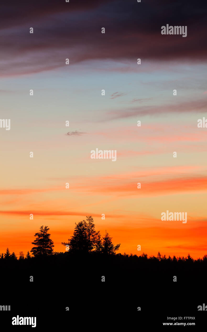 La silhouette des arbres et de beaux nuages coucher de soleil vibrant Banque D'Images