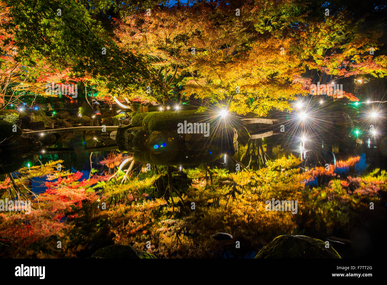 Couleurs d'automne,Parc,Suginami-Ku Otaguro, Tokyo, Japon Banque D'Images