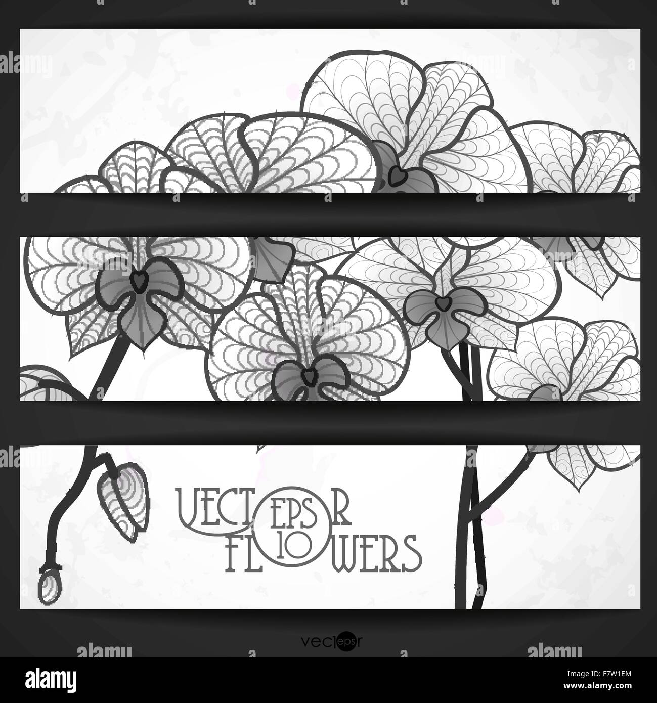 Dessin à la main orchidée fleur Illustration de Vecteur