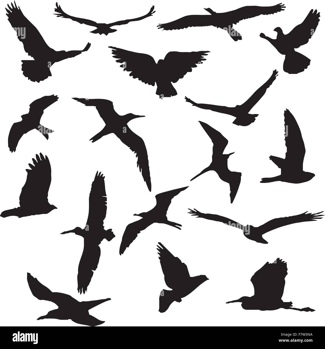 Vector Collection de silhouettes d'oiseaux Illustration de Vecteur