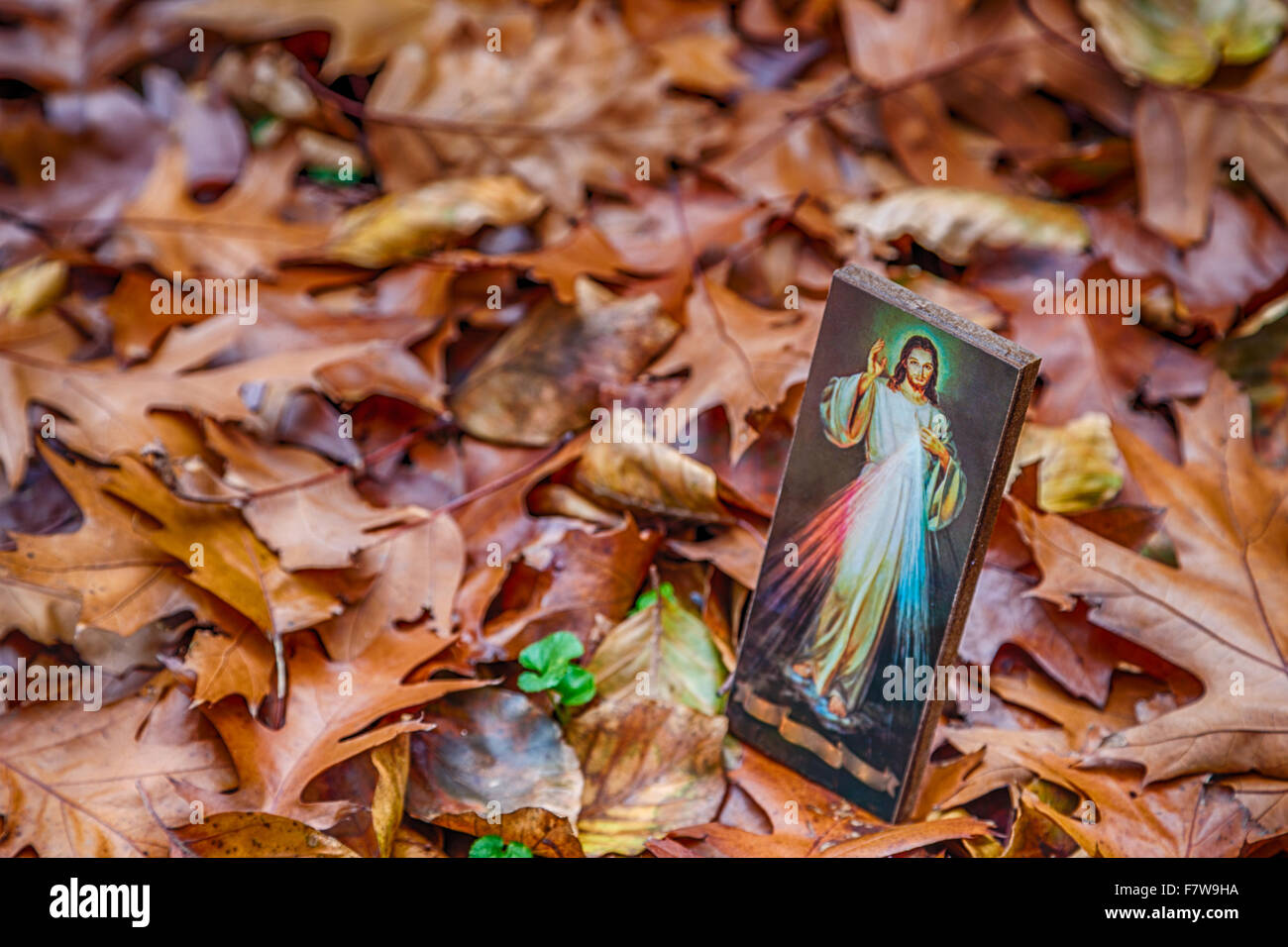 Une icône avec l'image de Jésus Miséricordieux s'appuyant sur un vieux mur : le ruban sur le bas est vide Banque D'Images