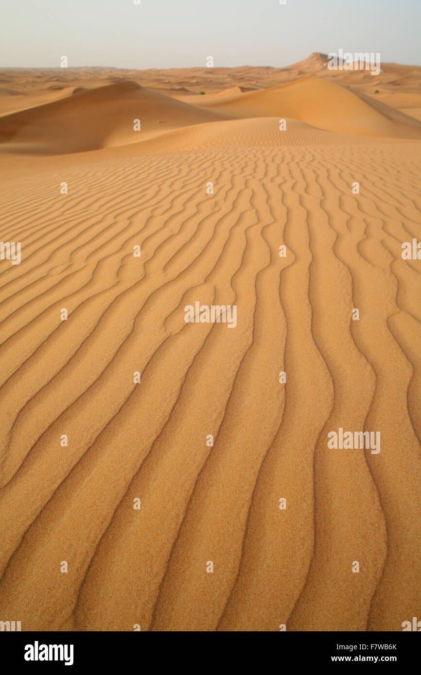 Safari dans le désert, Dubaï, Émirats Arabes Unis Banque D'Images