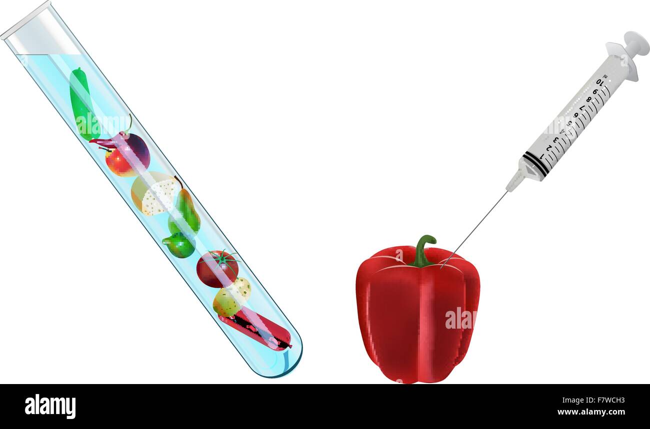 La gastronomie moléculaire Illustration de Vecteur