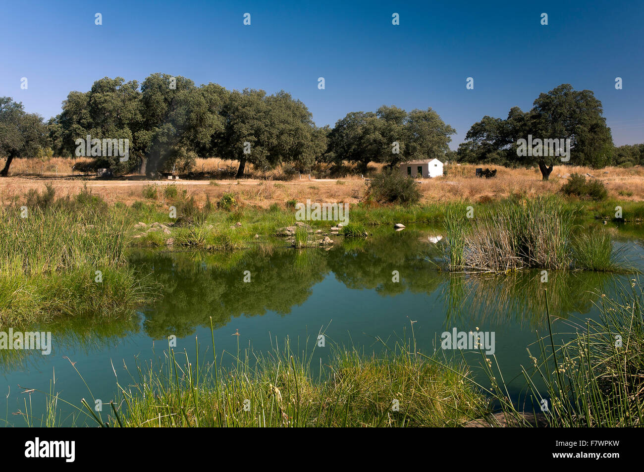 Le Parc Naturel de Sierra de Aracena, Cala, rivière, Santa Olalla del Cala Huelva province, région d'Andalousie, Espagne, Europe Banque D'Images