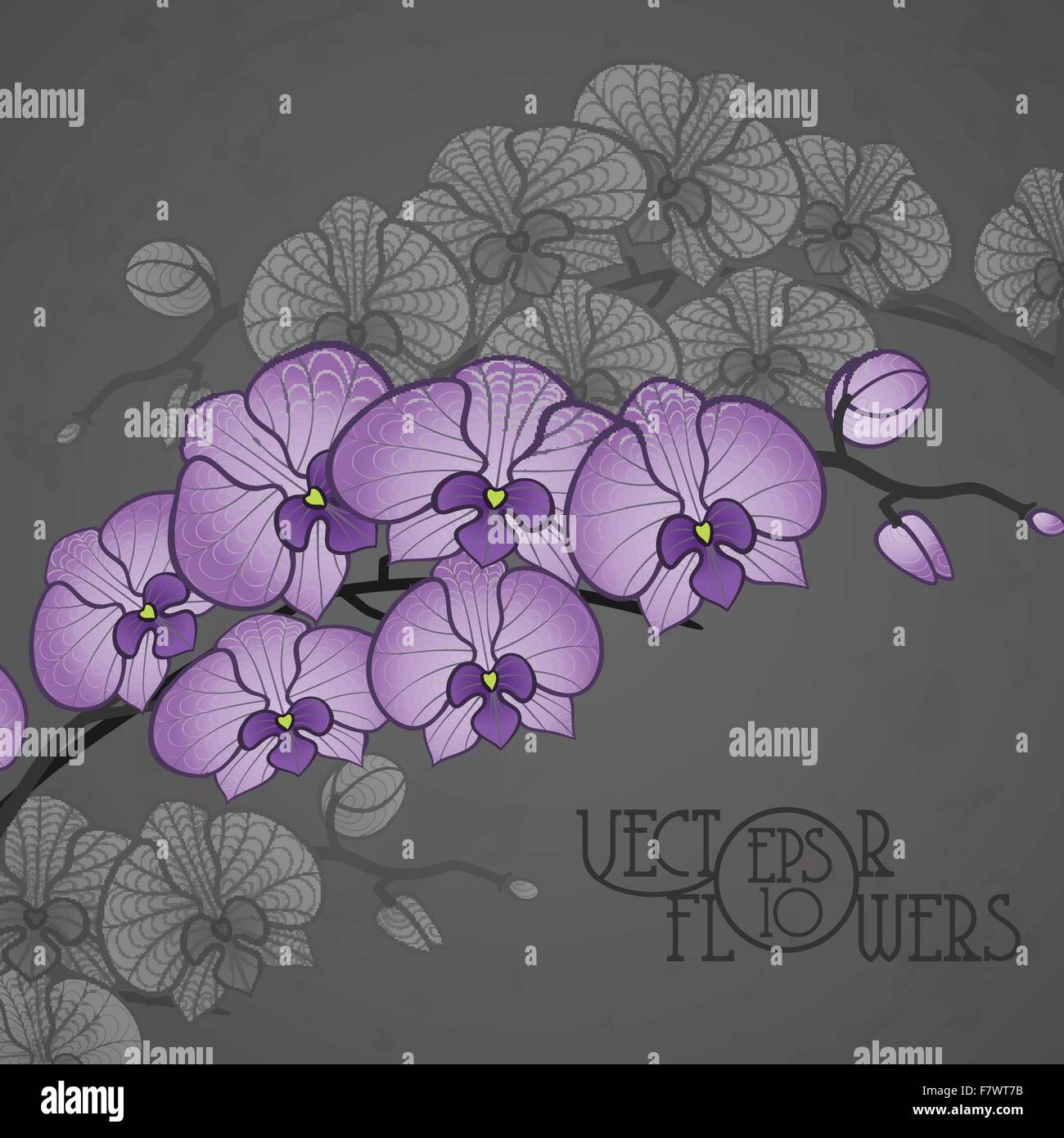 Dessin à la main orchidée fleur Illustration de Vecteur