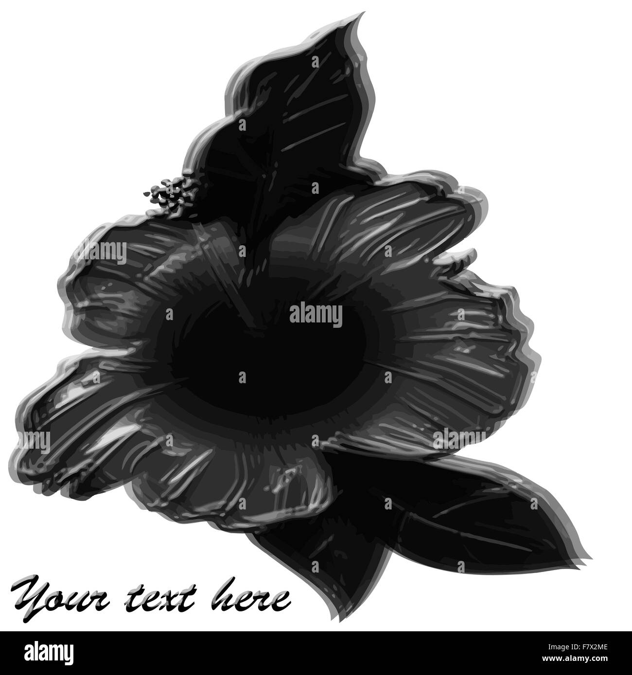 Brosse fleur rose sur fond blanc Illustration de Vecteur