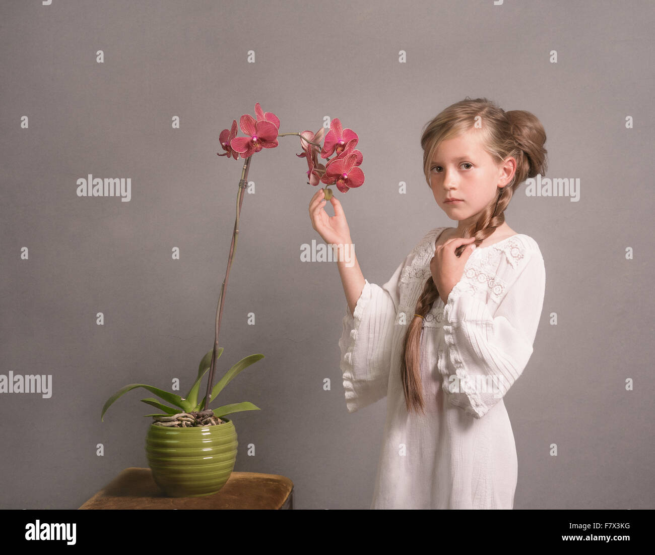 Gild debout à côté d'orchidée, fleur Banque D'Images