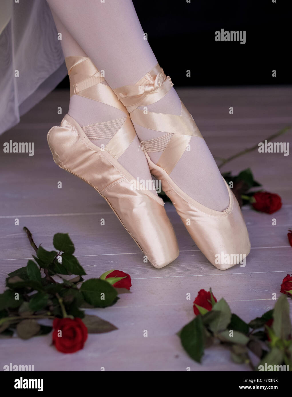 Fille dans ballet shoes avec pieds croisés Banque D'Images