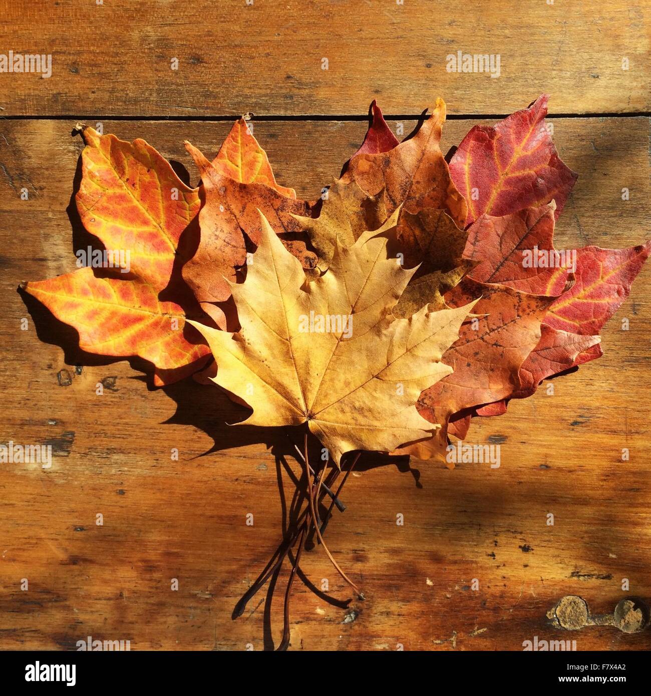 Feuilles d'automne sur une table en bois Banque D'Images
