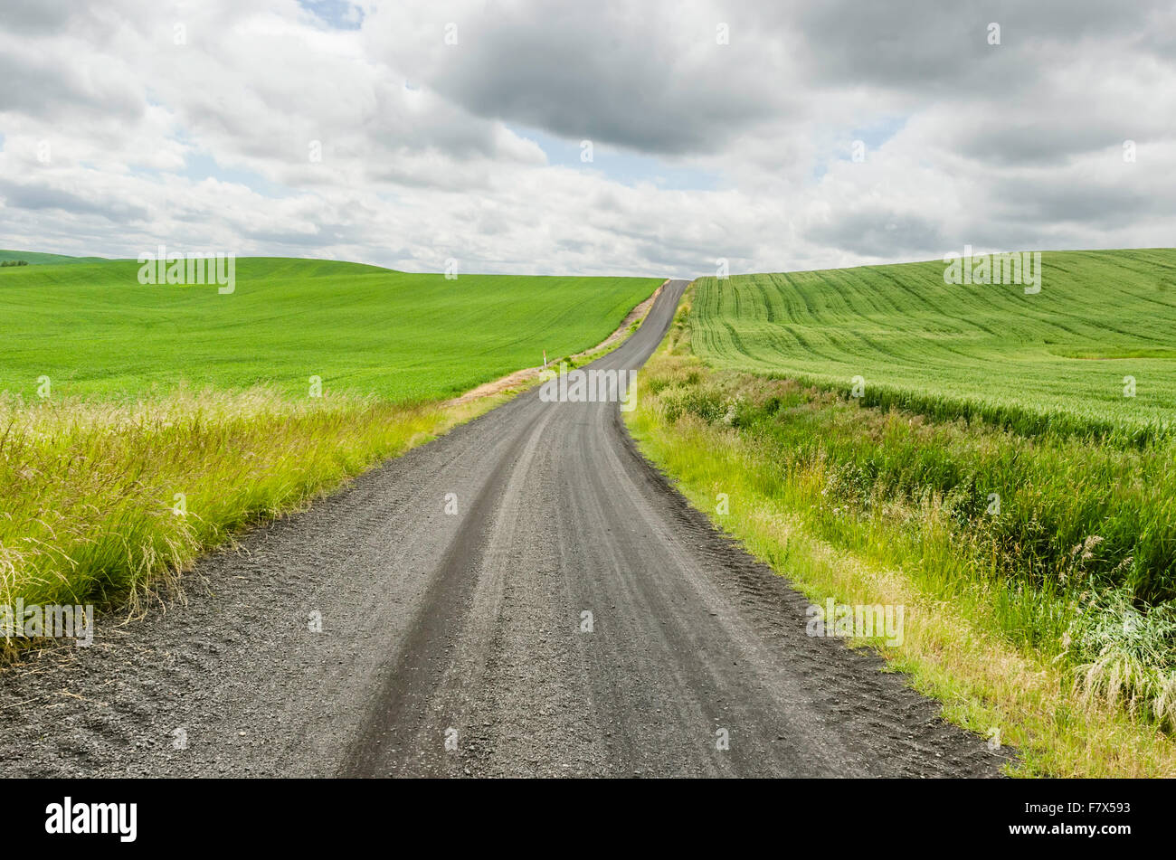 Rural Road, Washington, USA, Palousienne Banque D'Images