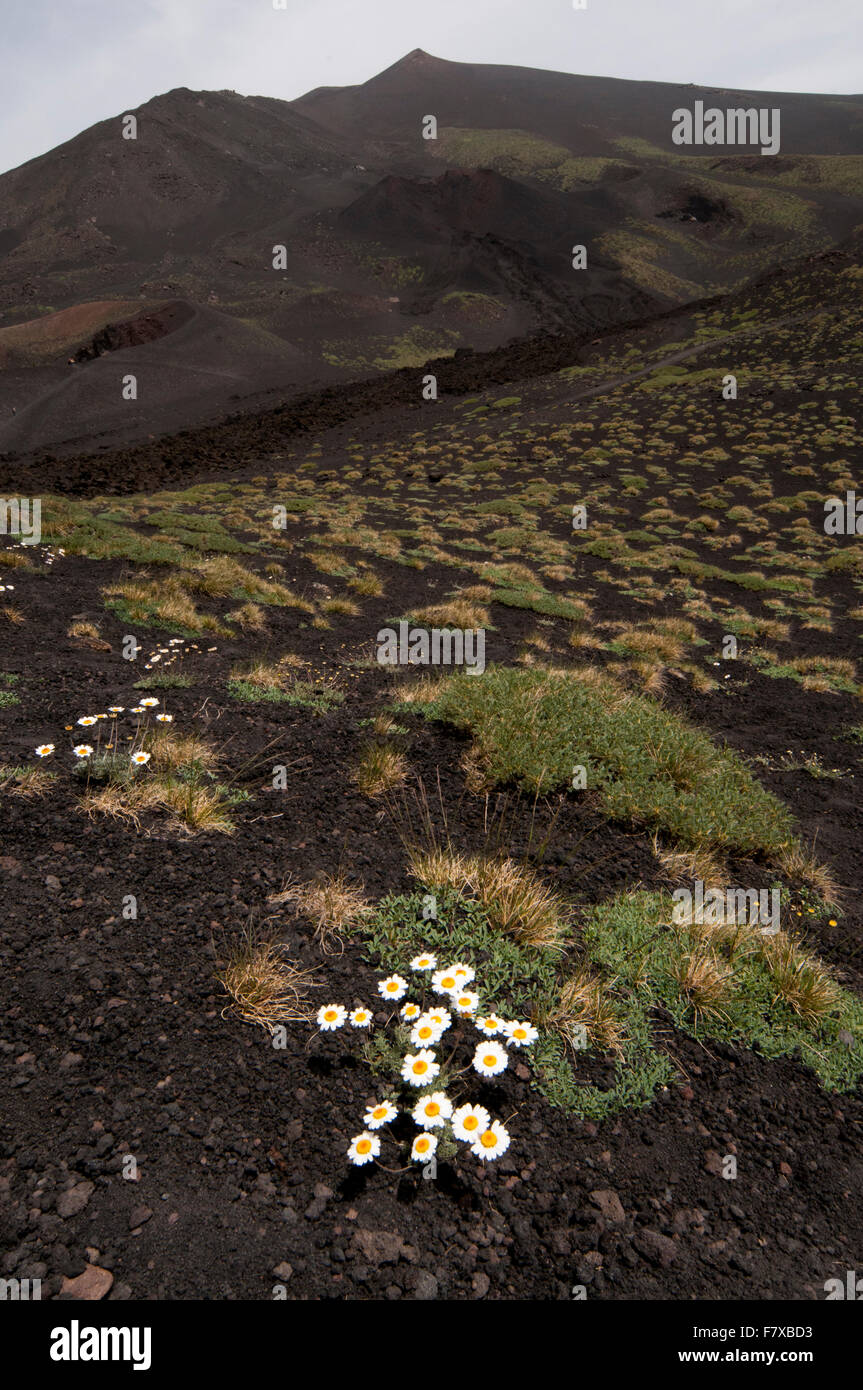 Une éruption majeure en 2001 a laissé cette lave sur le cratère et la plupart volcan actif d'Europe, le mont Etna en Sicile. Banque D'Images