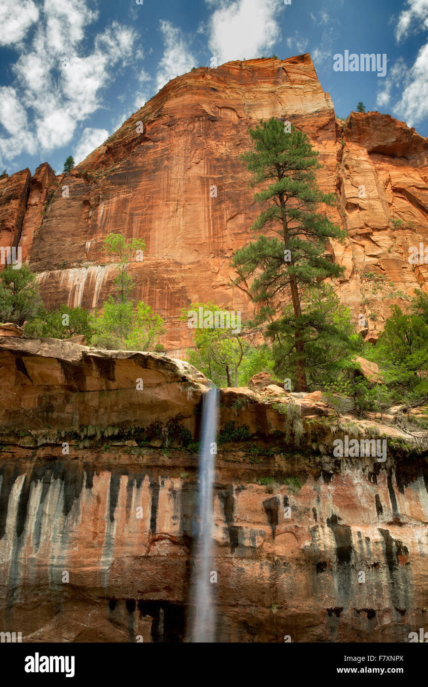 Emerald Pools Cascades. Zion National Park, Utah Banque D'Images