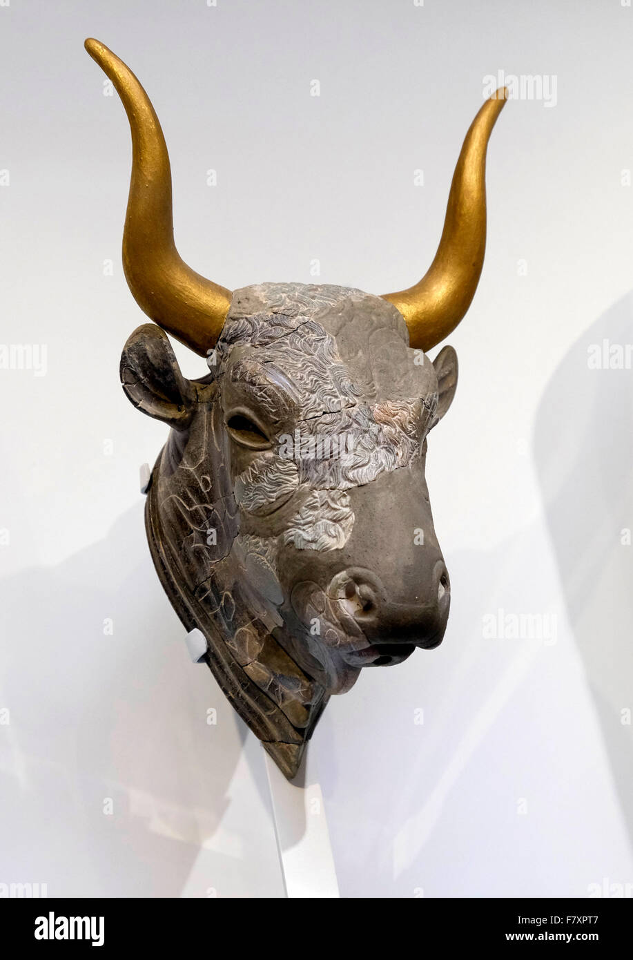 Tête de taureau, Musée archéologique, Héraklion. Banque D'Images