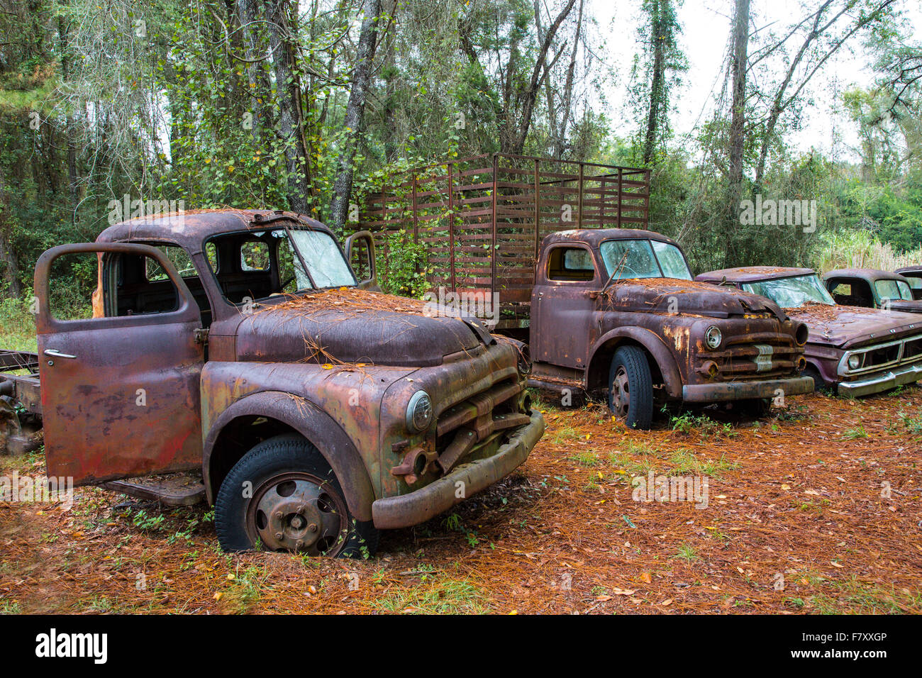 Vieux camions et voitures abandonnées rouillé Banque D'Images