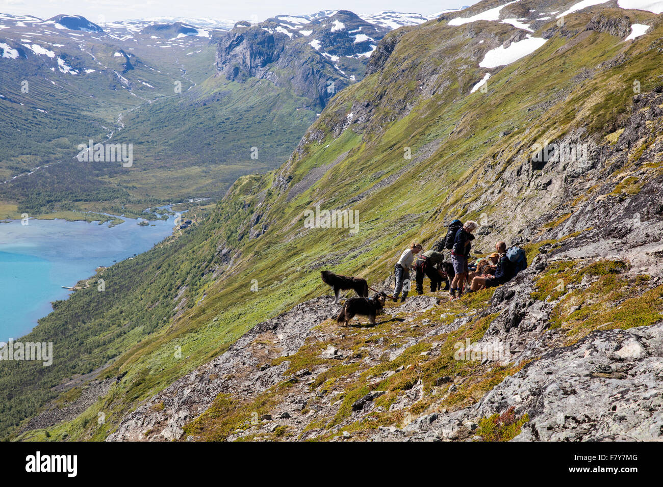 Une partie des marcheurs norvégien et le chien reste après l'ascension de la montée du lac Gjende Bukelaegeret dans le parc national de Jotunheimen Banque D'Images