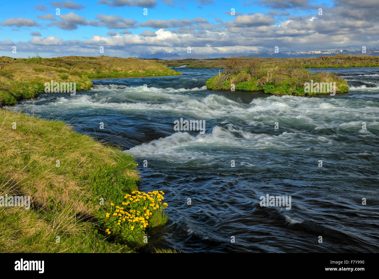 Rivière à saumon de la rivière Laxa, au printemps, l'Islande, région de Myvatn Banque D'Images