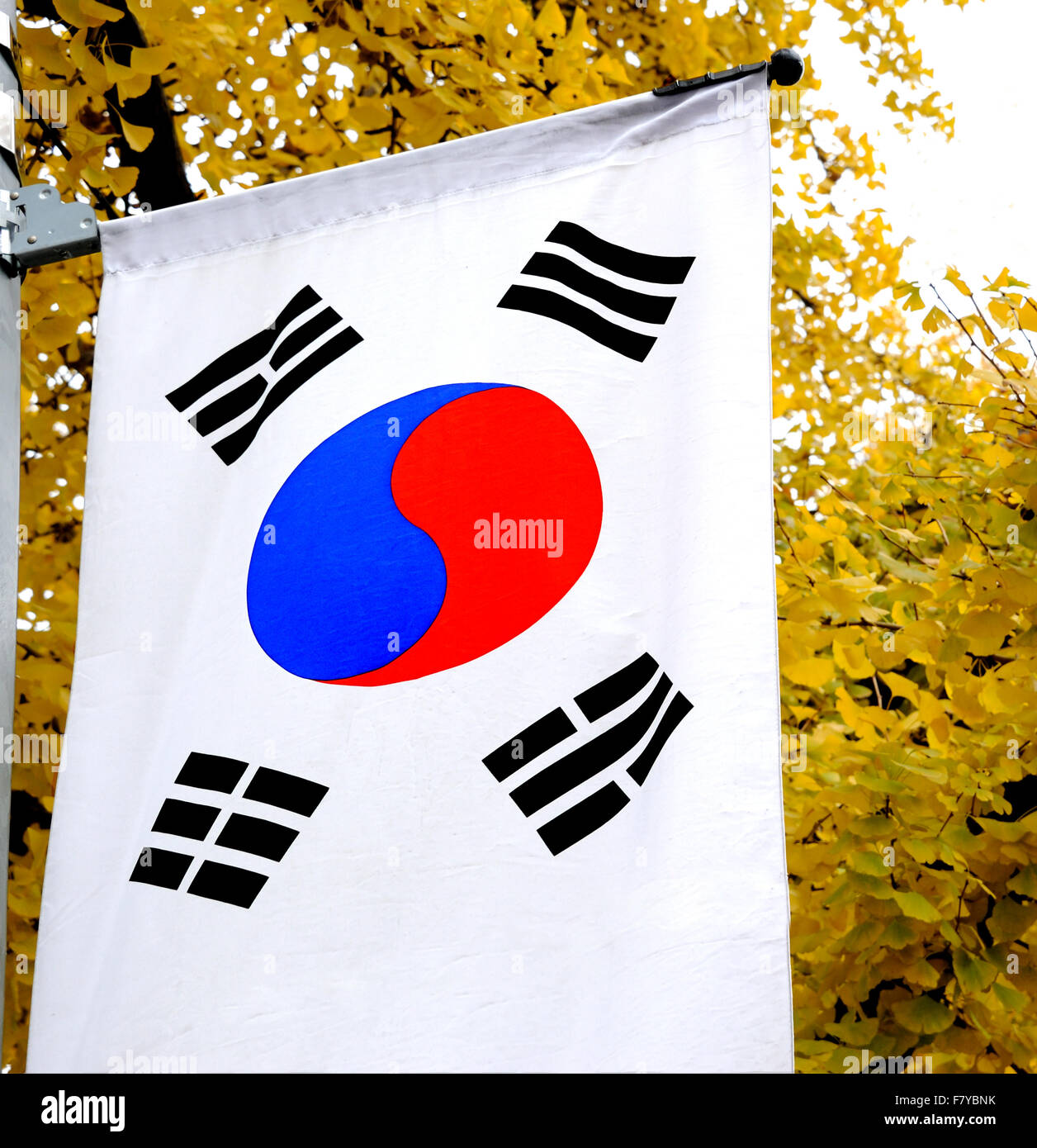 Le drapeau national de la Corée du Sud. Il comporte trois parties : un ...