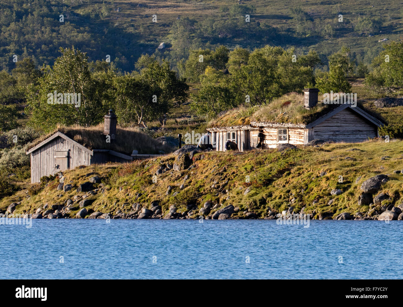 Cabines en bois anciens ou rorbuer avec l'herbe des toits sur les rives du lac Gjende dans le parc national de Jotunheimen Norvège Banque D'Images