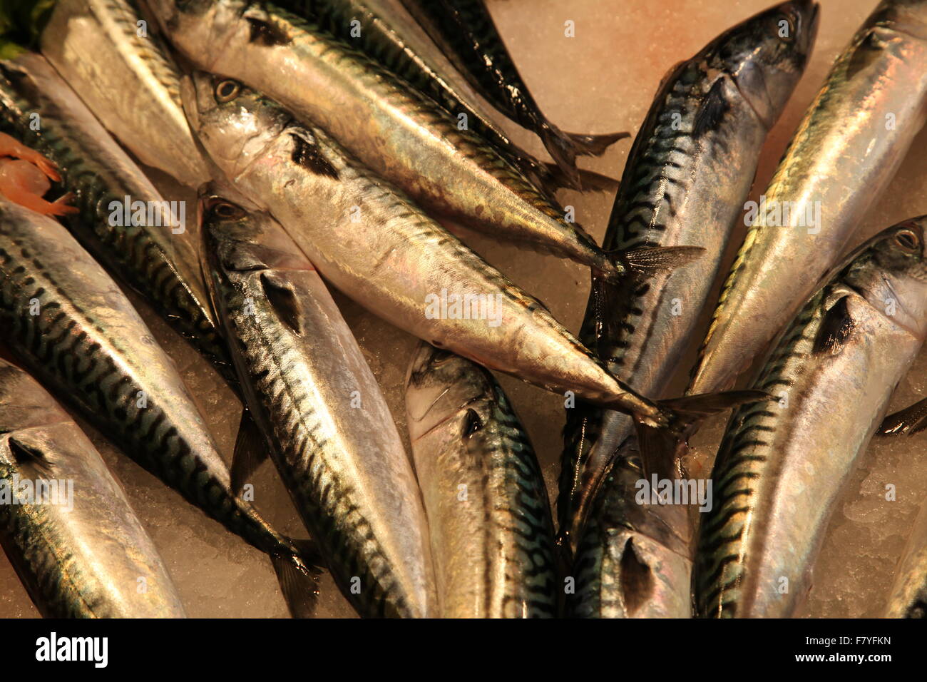 Campo della Pescheria. Marché aux poissons (Venise) Banque D'Images