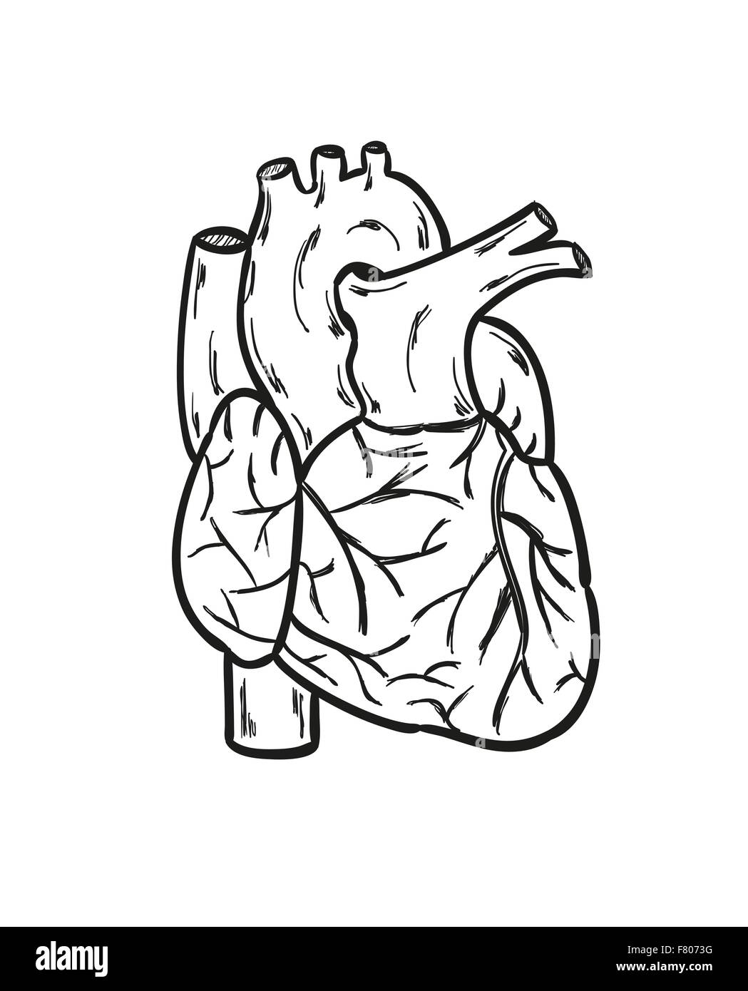 cœur de l’homme Illustration de Vecteur