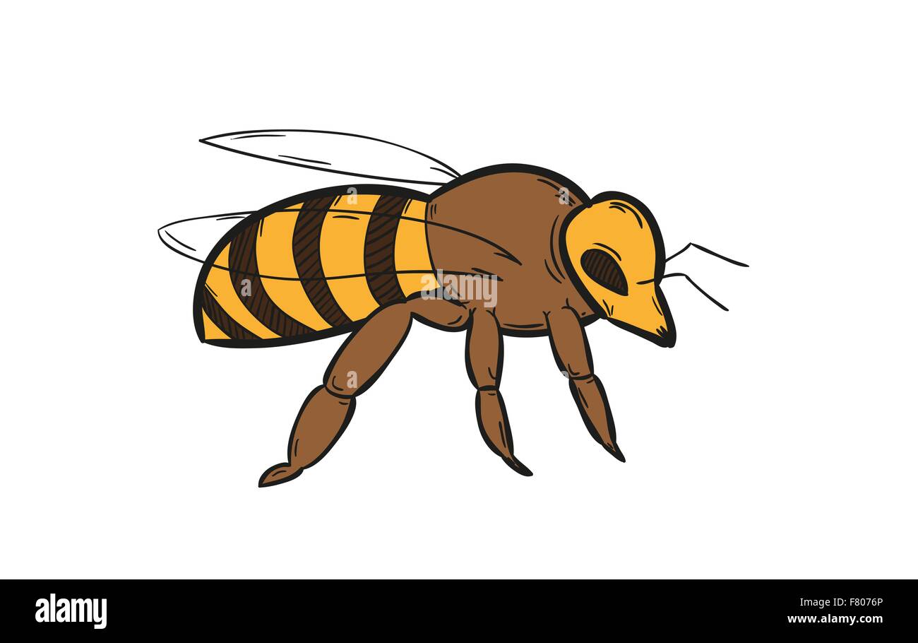 une abeille Illustration de Vecteur