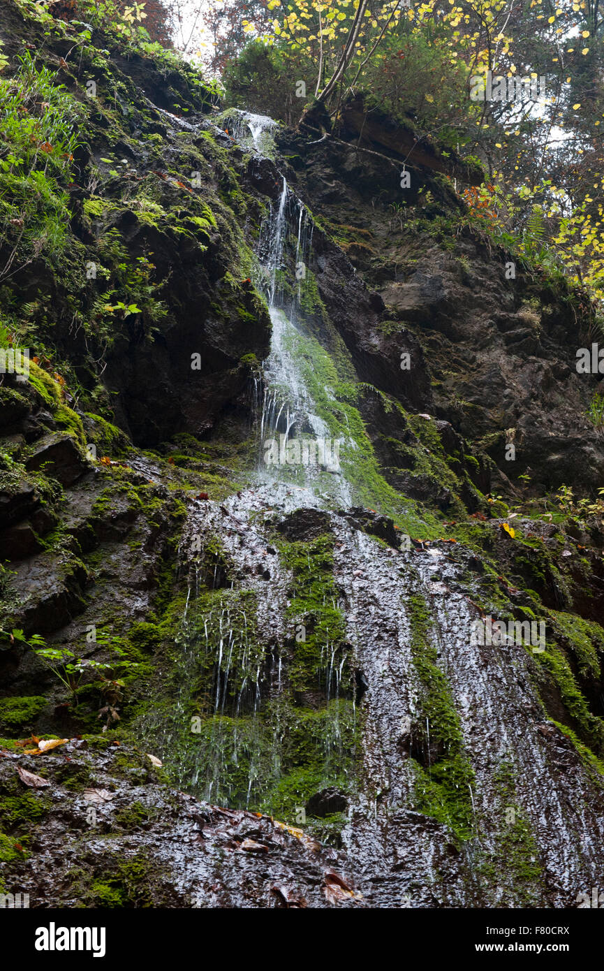 Cascade de lotenbachklamm, sud de la forêt noire, Bade-Wurtemberg, Allemagne Banque D'Images Cascade de lotenbachklamm, sud de la forêt noire, Bade-Wurtemberg, Allemagne Banque D'Images