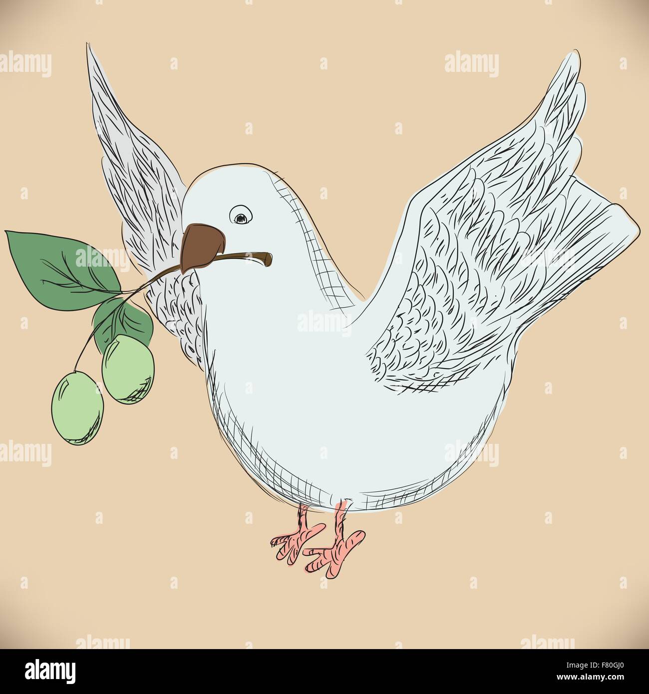 Dessin à la main avec une olive dove Illustration de Vecteur