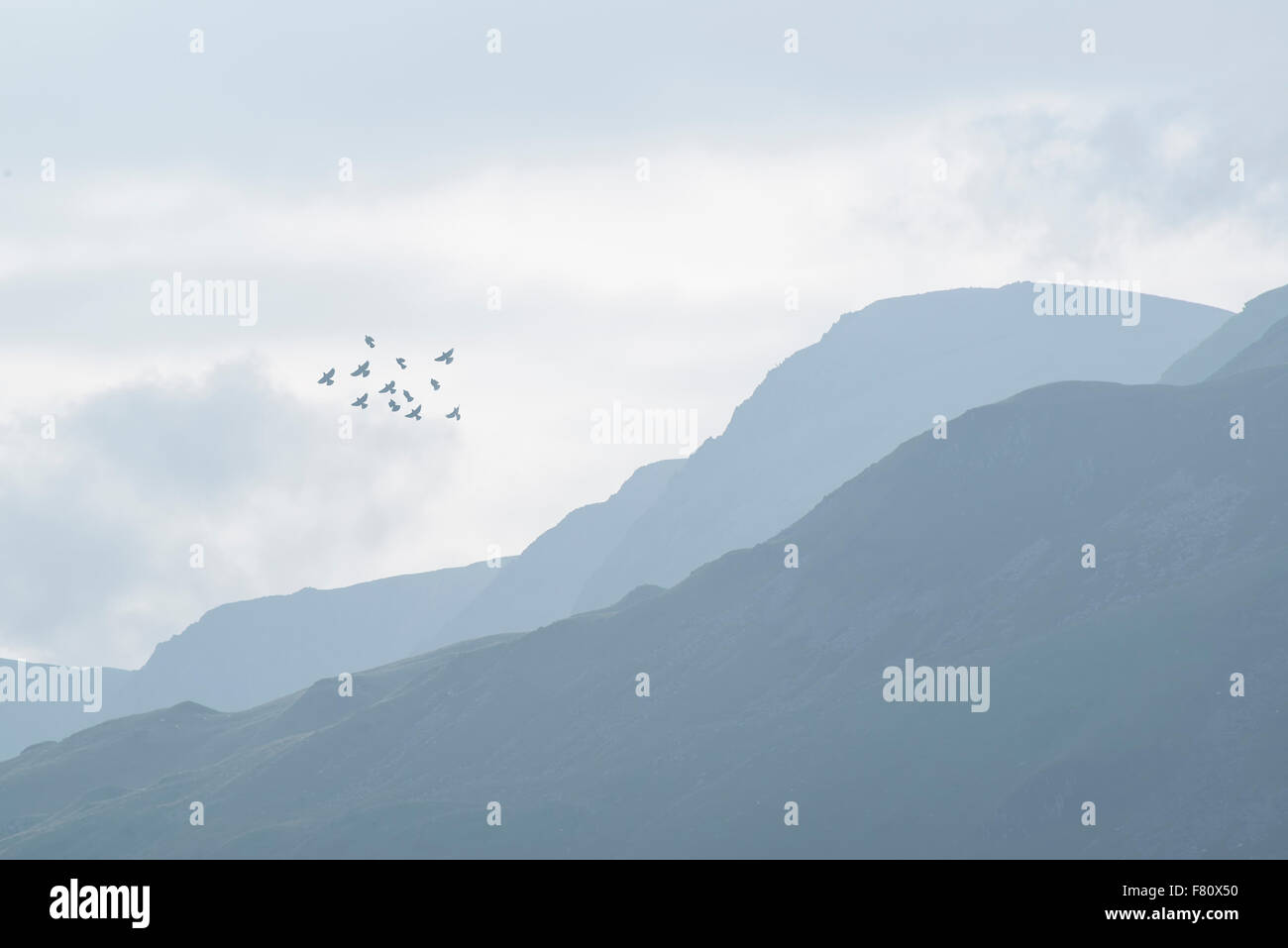 Matin brumeux paysage sur le lac de montagnes encore avec en arrière-plan Banque D'Images