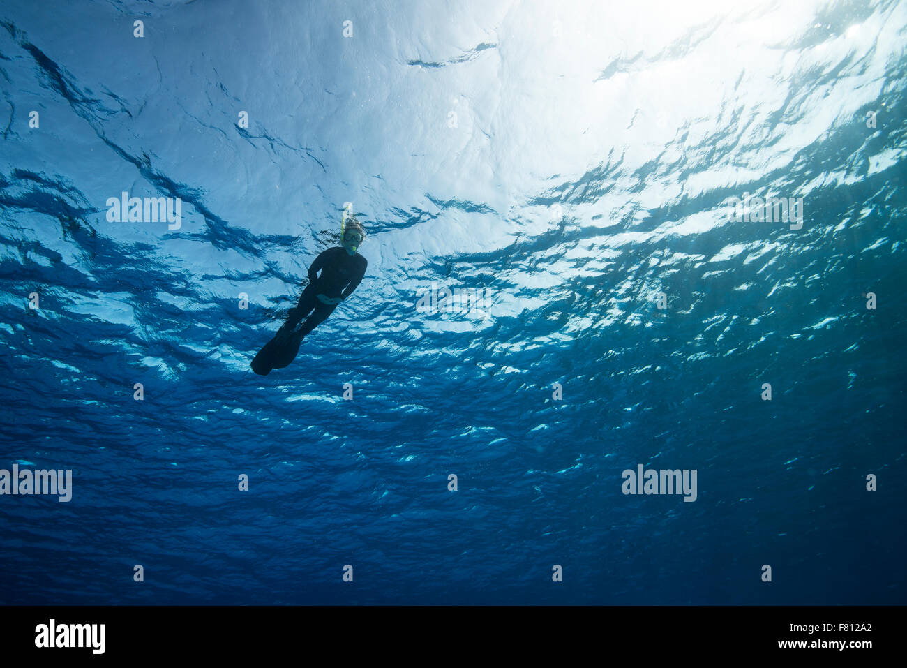 Diver tuba sur la petite Caïman Banque D'Images