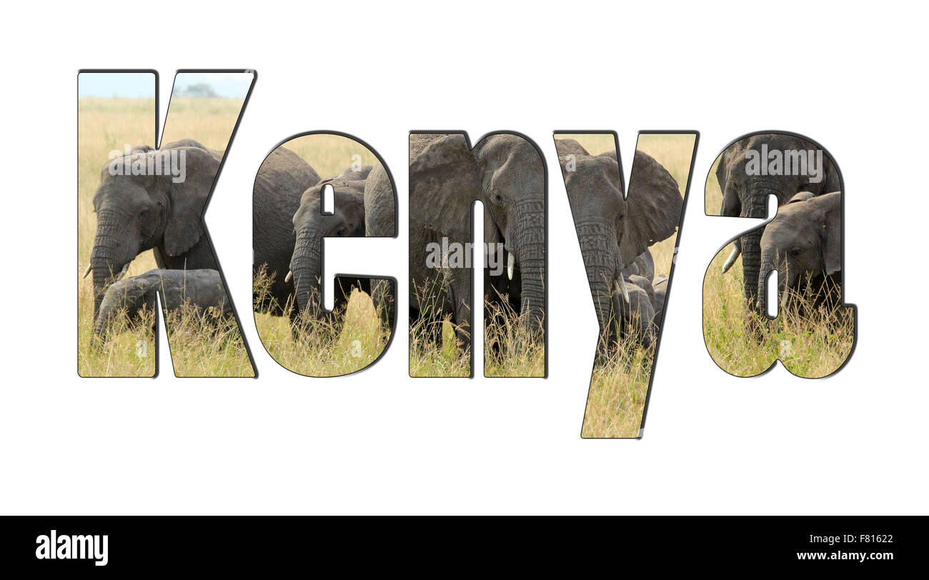 Un troupeau d'éléphants africains derrière le mot Kenya isolé sur un fond blanc. Les éléphants sont un des symboles de l'Afrique Banque D'Images