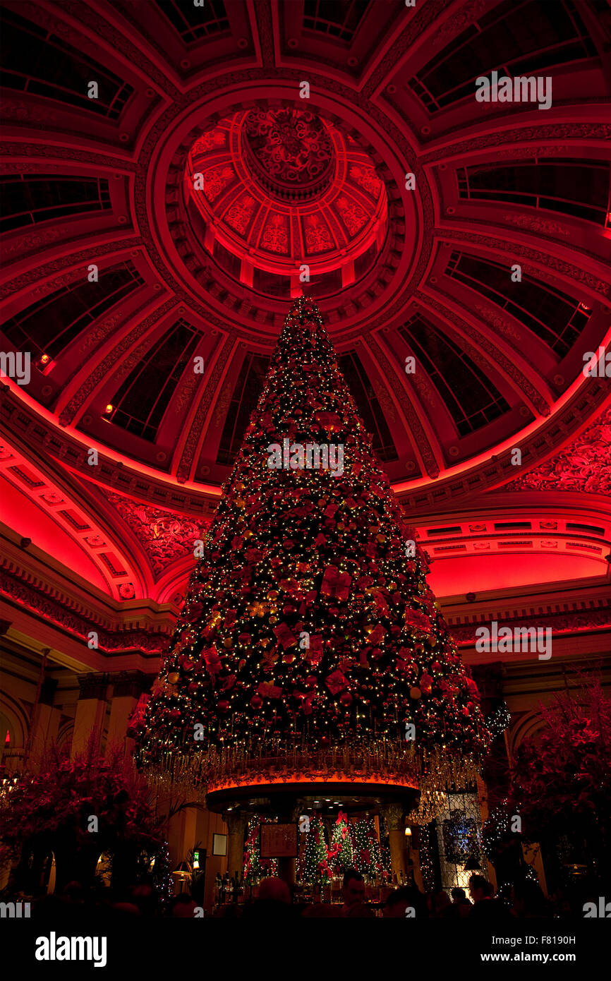 Arbre de Noël le dôme sur George Street à Édimbourg, en Écosse. Banque D'Images