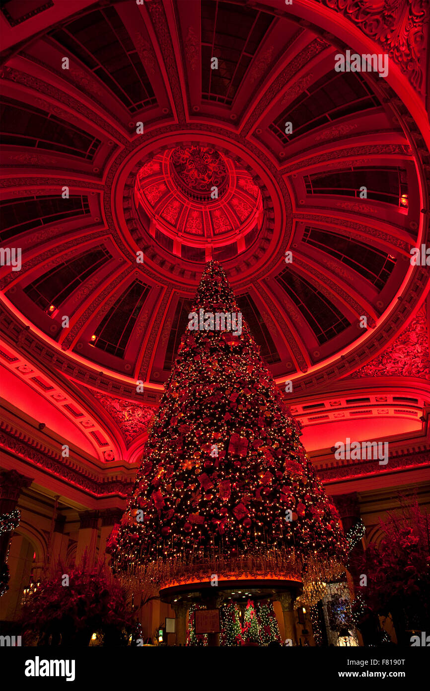 Arbre de Noël le dôme sur George Street à Édimbourg, en Écosse. Banque D'Images