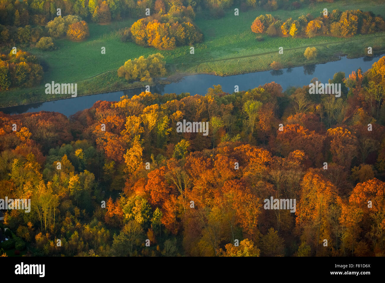 Forêt d'automne par la rivière Ruhr, atmosphère d'automne, Essen-Kettwig, Essen, Ruhr, Rhénanie du Nord-Westphalie, Allemagne Banque D'Images