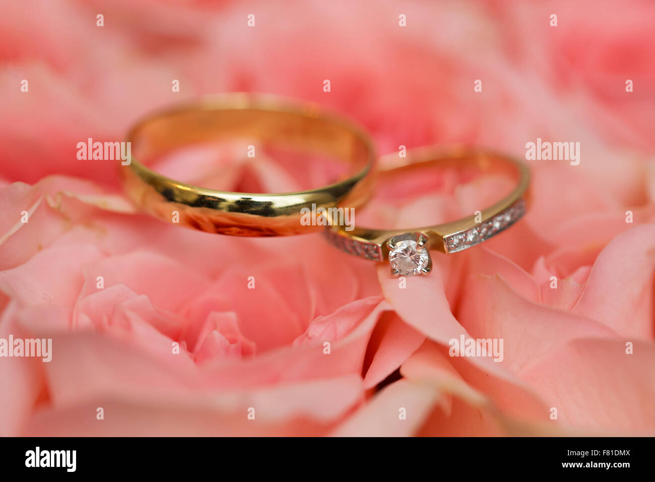 Anneaux de mariage d'or sur les roses Banque D'Images Anneaux de mariage d'or sur les roses Banque D'Images