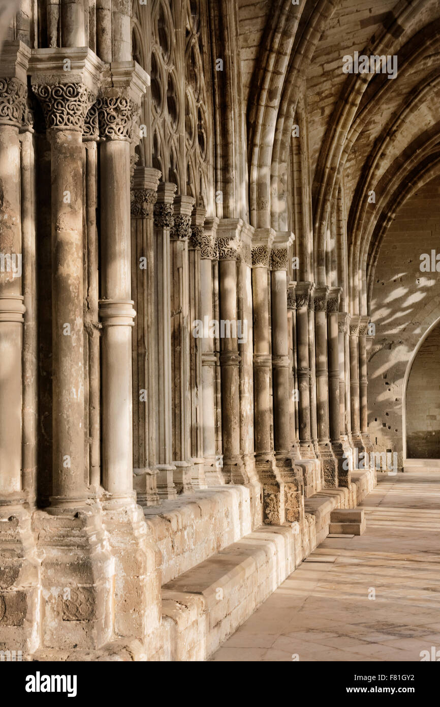 La Seu Vella, Lleida. Cloître. Banque D'Images
