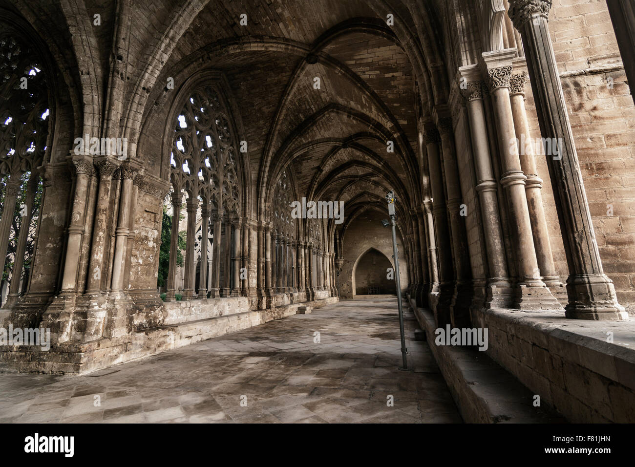 La Seu Vella, Lleida. Cloître. Banque D'Images