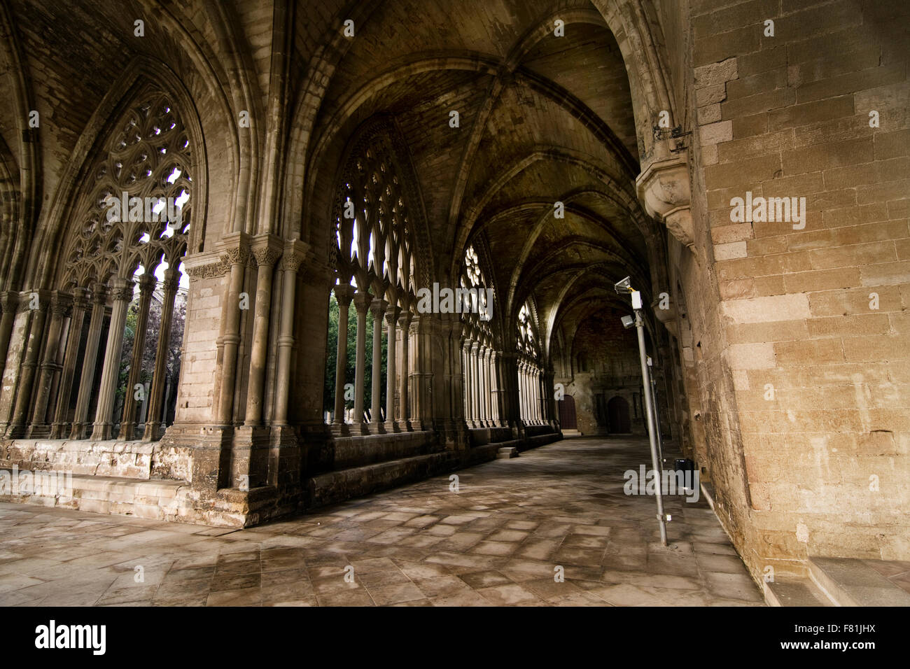 La Seu Vella, Lleida. Cloître. Banque D'Images
