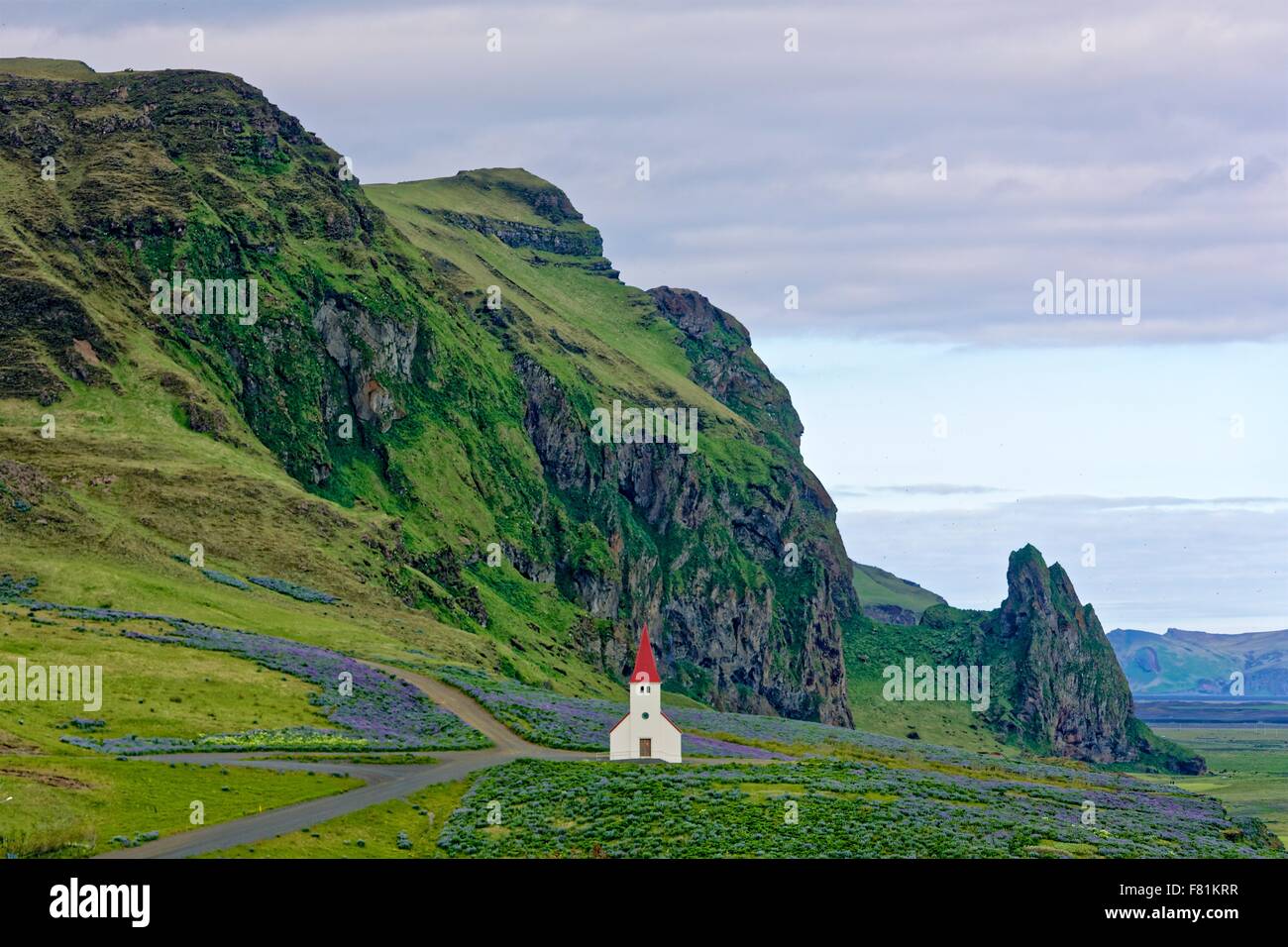 L'emblématique église à Vik, l'Islande avec l'été fleurs lupin Banque D'Images